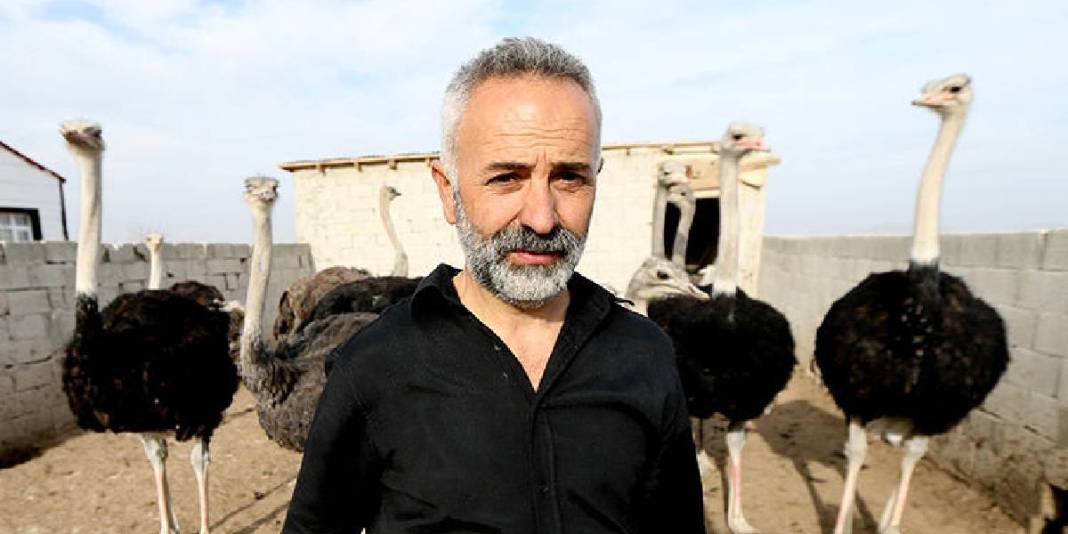 İstanbul’da devekuşu gördü yetiştirmek için Kars’a döndü! Şimdi çiftliğini kuruyor: 7 dönümde sayıları 1 yılda 11’e çıktı 4